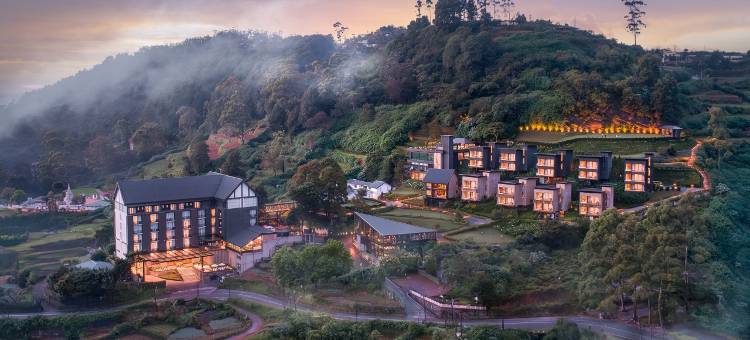 金岭酒店(The Golden Ridge Hotel)图片