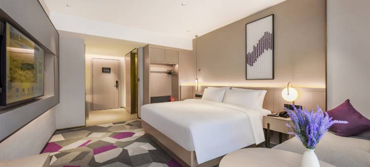 都江堰麗枫酒店(融创乐园熊猫谷店)图片