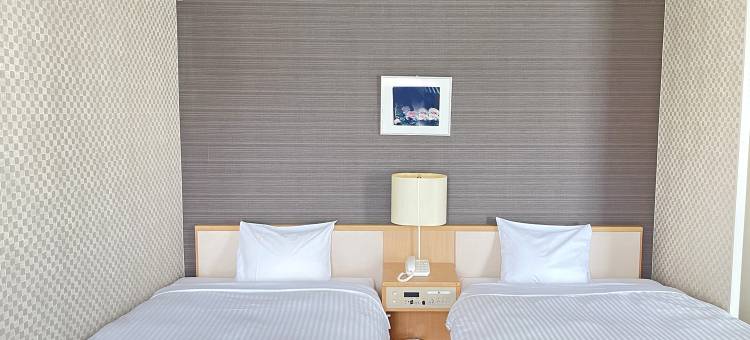 大阪国际交流中心酒店(Hotel International House Osaka)图片