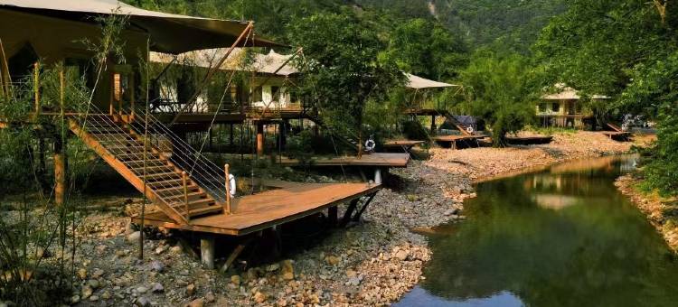 坠入荒野民宿图片