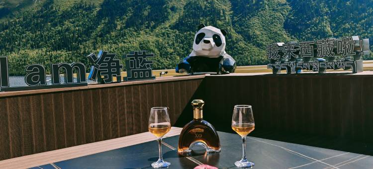 净蓝富氧酒店(昌都八宿县然乌店)图片