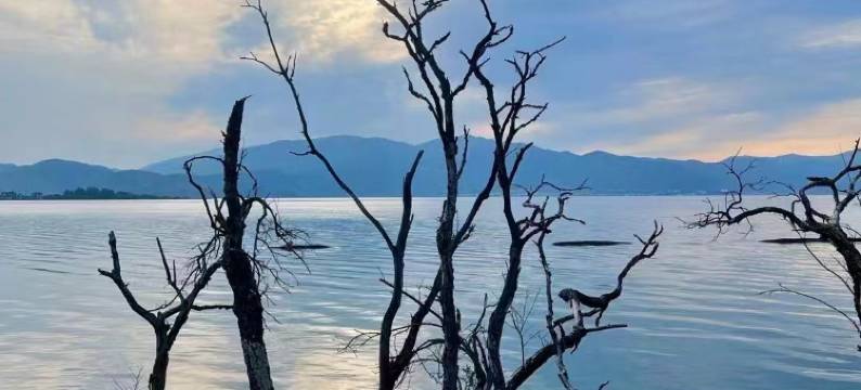 大理泊度海景人文客栈图片