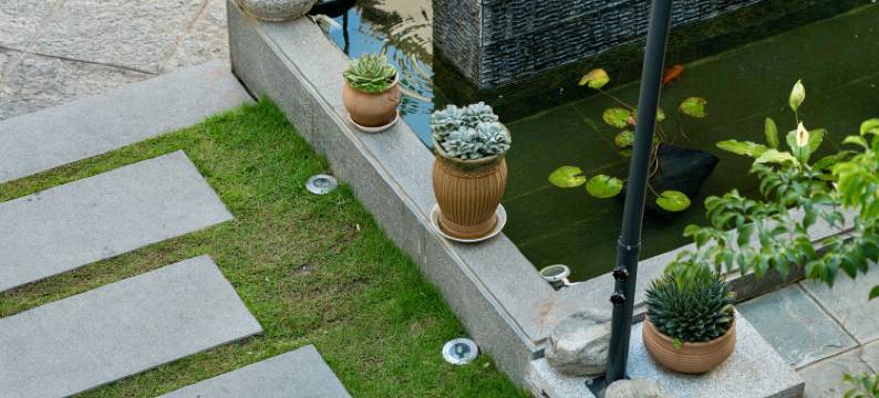 尚优居客栈(大理古城洋人街店)图片