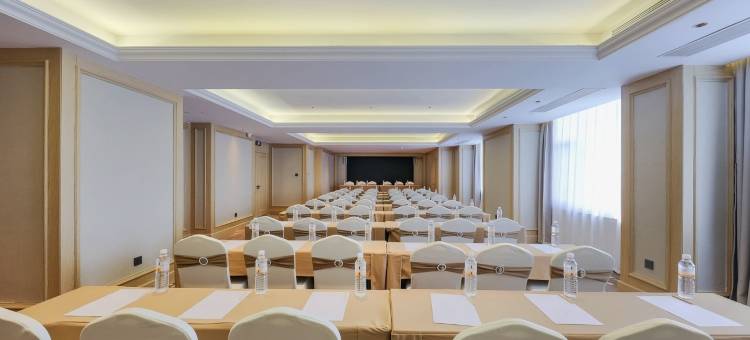 万铂酒店(绿地中央商务区店)图片