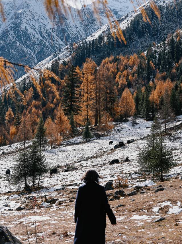 四姑娘山仰望星空·Vacilando度假庄园(长坪沟斯古拉神山店)图片