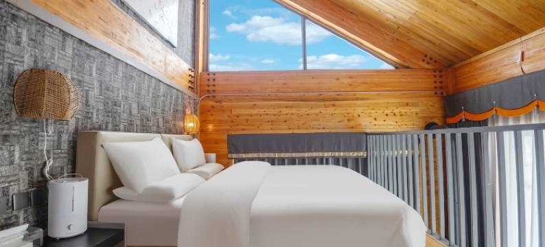 A+东馆温泉酒店图片