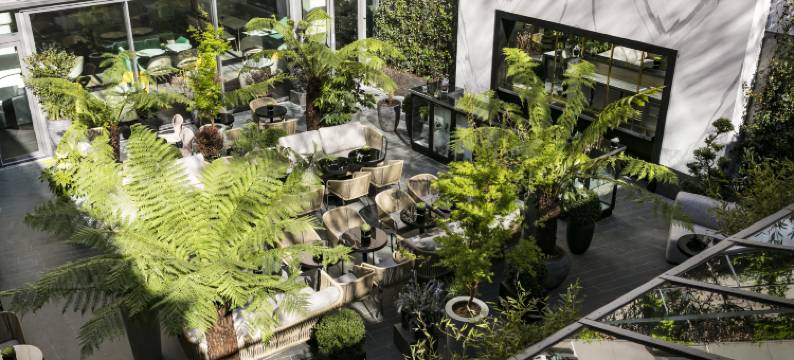 巴黎8区收藏家酒店(Hotel du Collectionneur)图片