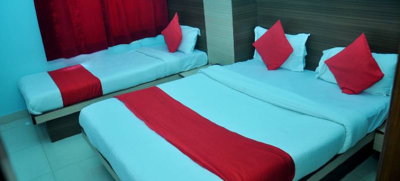 提卡纳宫酒店(Hotel Thikana Palace)图片