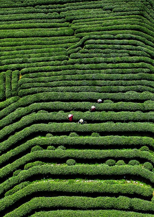 杭州香格里拉饭店·水知心居图片