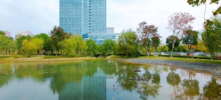 舟山铂尔曼酒店图片