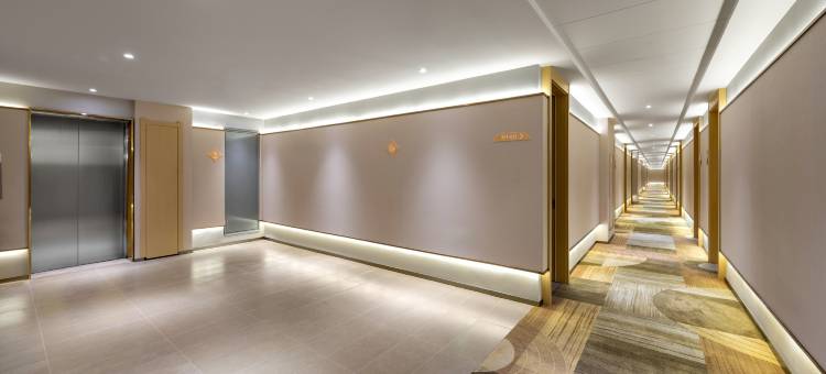 锦江之星酒店(石家庄无极中昌西路店)图片