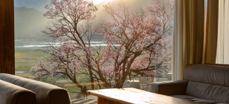 半山探野·悬崖纳境依山听海隐邸(香格里拉纳帕海店)图片