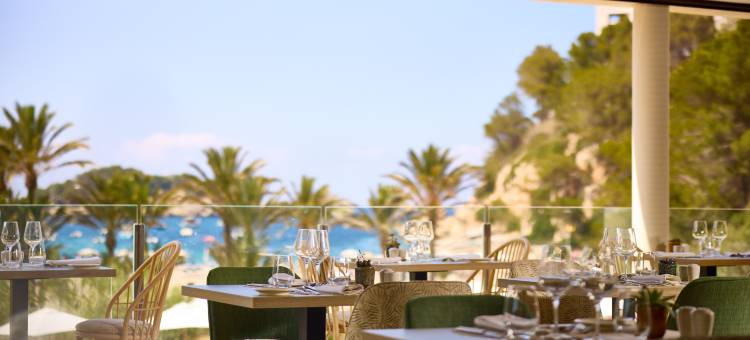 卡拉圣米格尔伊维萨度假村 - 希尔顿 Curio 精选系列(Cala San Miguel Ibiza Resort, Curio Collection by Hilton)图片