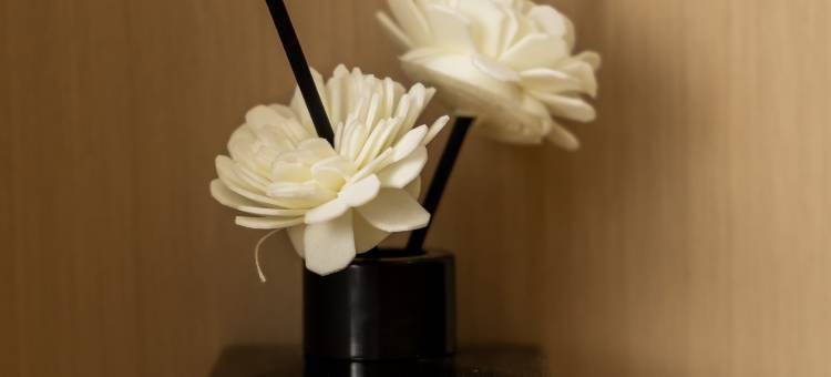 若羌九洲宾馆图片