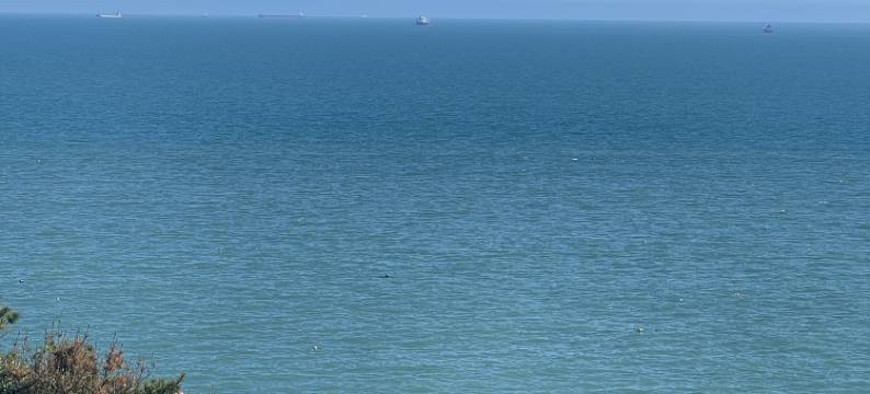 湄洲岛海中舟民宿(黄金沙滩店)图片