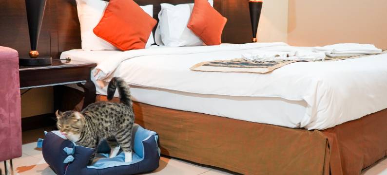 比玛花园精品酒店(Piman Garden Boutique Hotel)图片