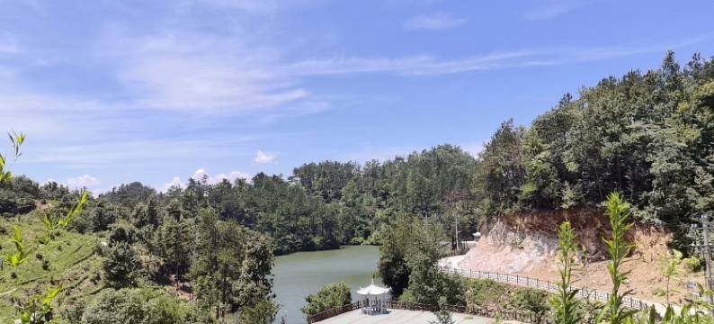 桐城雾聚茶谷民宿图片