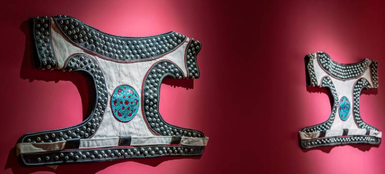 金毡苑民宿(额尔古纳湿地店)图片