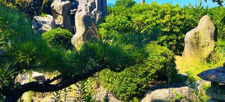 温泉民宿三国缘(Onsen minshuku mikunien)图片