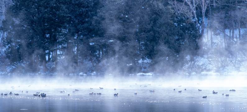 龟乃井酒店 - 奥日光(Kamenoi Hotel Okunikko)图片