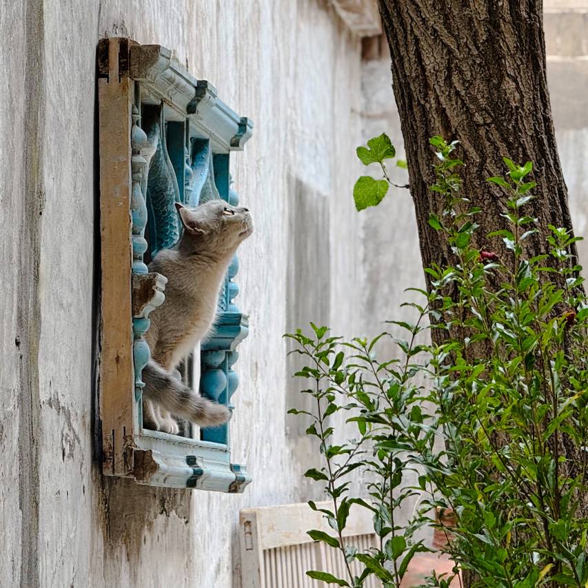 丝路有约民宿(喀什古城店)图片