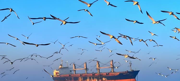 荣成高铁站丽呈漫湖酒店图片