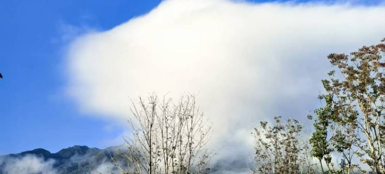 艾迪雅·半山｜Half Mountain Garden设计师观景度假民宿图片