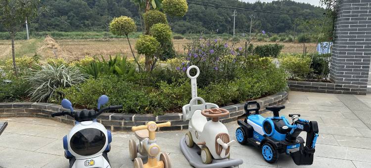 莲台小筑民宿(庐山风景区东林大佛店)图片