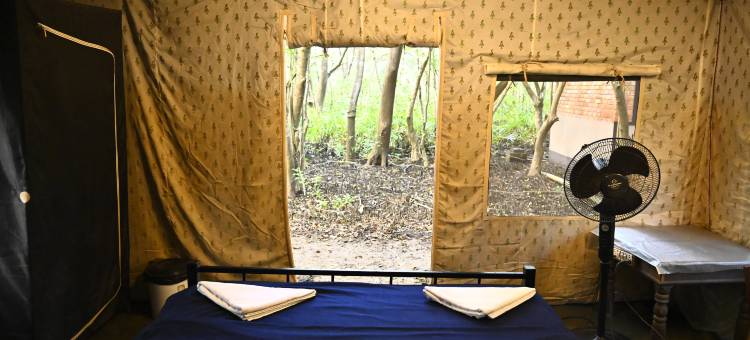 天堂河边营地(Camp Riveredge Paradise)图片