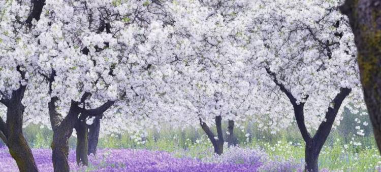 丽呈睿轩酒店(宿迁汽车总站店)图片
