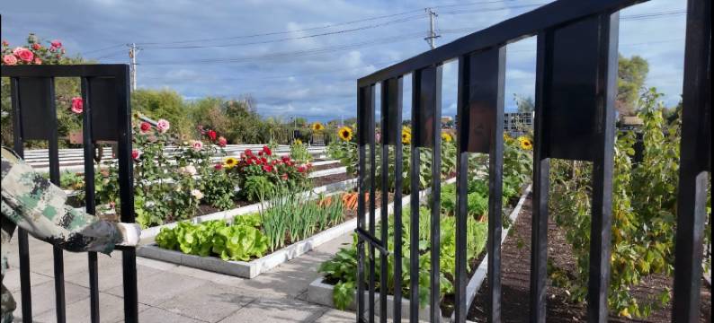 商都精品酒店图片