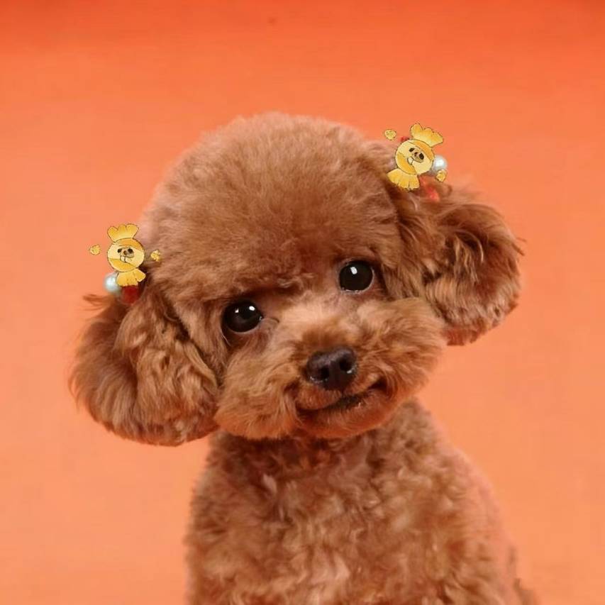 和颐至尚酒店(石家庄勒泰中心省博物院店)图片