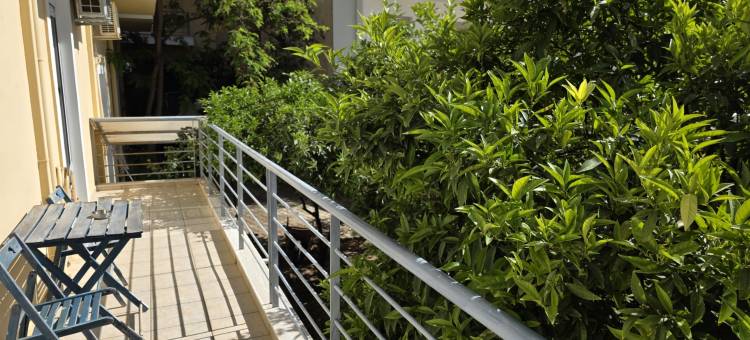 Garden apartment 20m from the sea图片