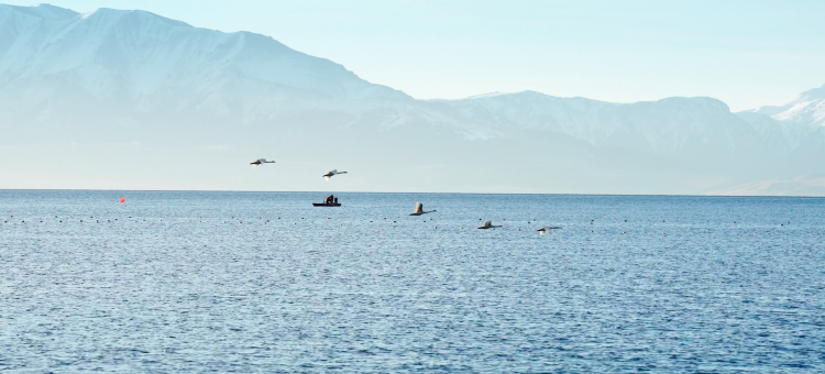 信敏·慕云山居度假酒店(赛里木湖景区店)图片