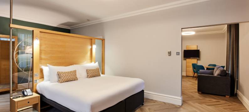 西斯尔伦敦帕克巷酒店(Thistle London Park Lane)图片