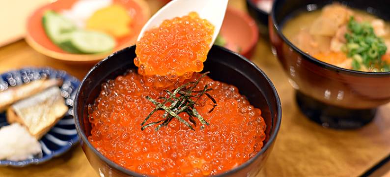 浅草御宿野乃天然温泉酒店(多美迎・御宿野乃 酒店集团)(Onyado Nono Asakusa Natural Hot Spring)图片