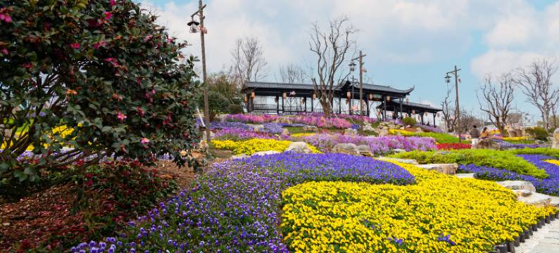 婺女洲度假区万卷酒店图片