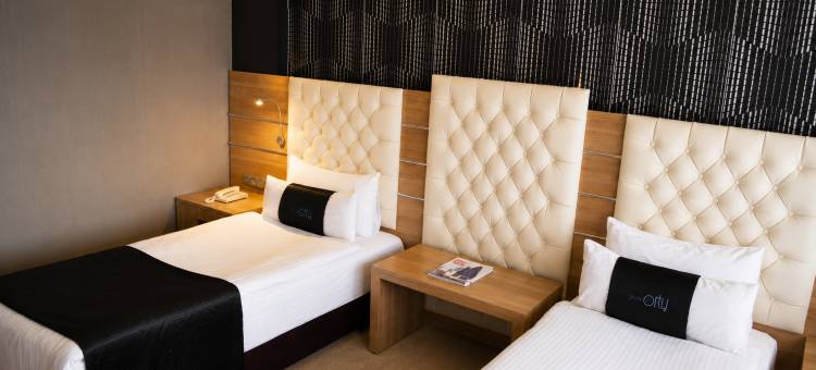 奥梯机场酒店(Orty Airport Hotel)图片