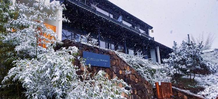 大乐之野(安吉桃花源店)图片