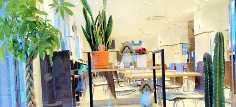 冲绳东横INN石垣岛酒店(Toyoko Inn Okinawa Ishigaki-Jima)图片