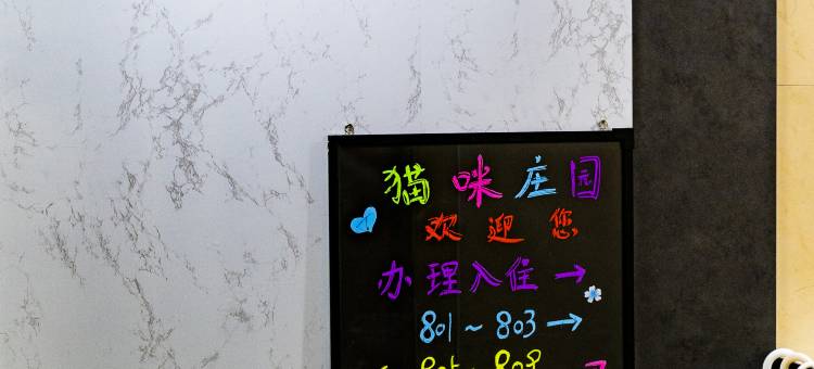 南京猫咪女生青年旅舍(新街口店)图片