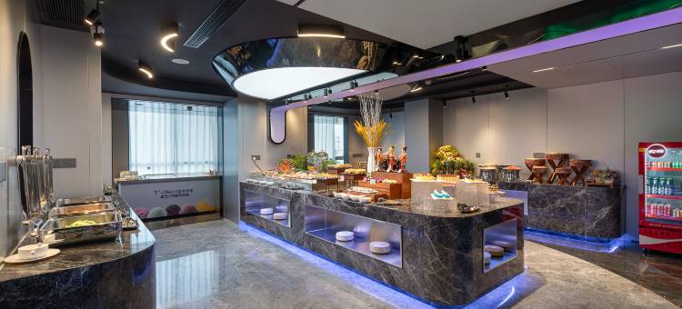 桐乡濮院雷迪森维嘉酒店图片