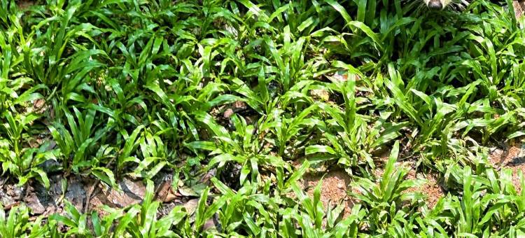 宜致酒店(广州中山大学附属第一医院东山口地铁站店)图片