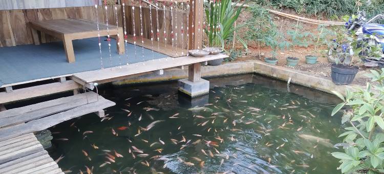 班宇米利家庭旅馆(Hotel O Homestay Banyumili Samigaluh)图片