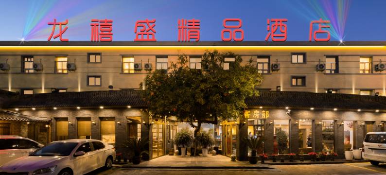 天津龙禧盛精品酒店(天津西站店)图片