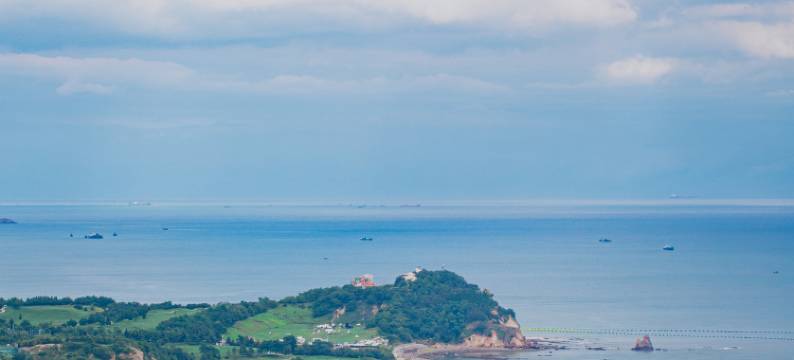 青岛美高梅华府酒店图片