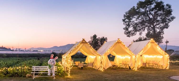花筑·花田舍·滩涂日出·篝火营地·观景美宿(霞浦北岐滩涂店)图片