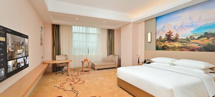 阳江维也纳国际酒店图片