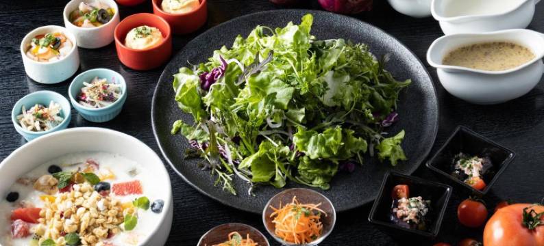 横滨新大谷尊贵酒店(New Otani Inn Yokohama Premium)图片