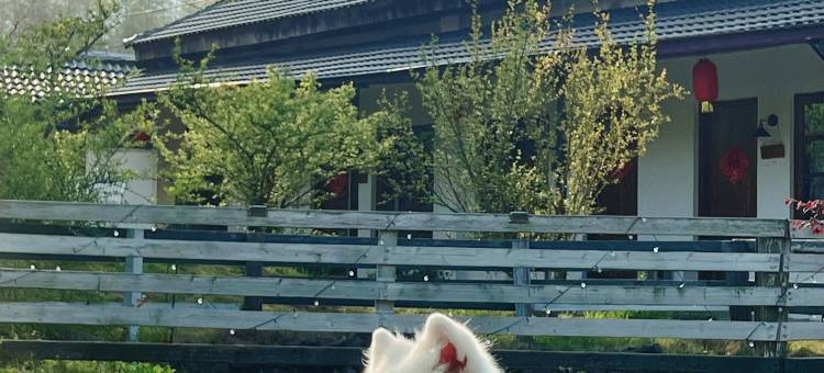 花筑·莫干山自然居·乡村四合院宠物度假民宿图片